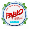 Pablo Exclusive Blue Mint 30MG 1