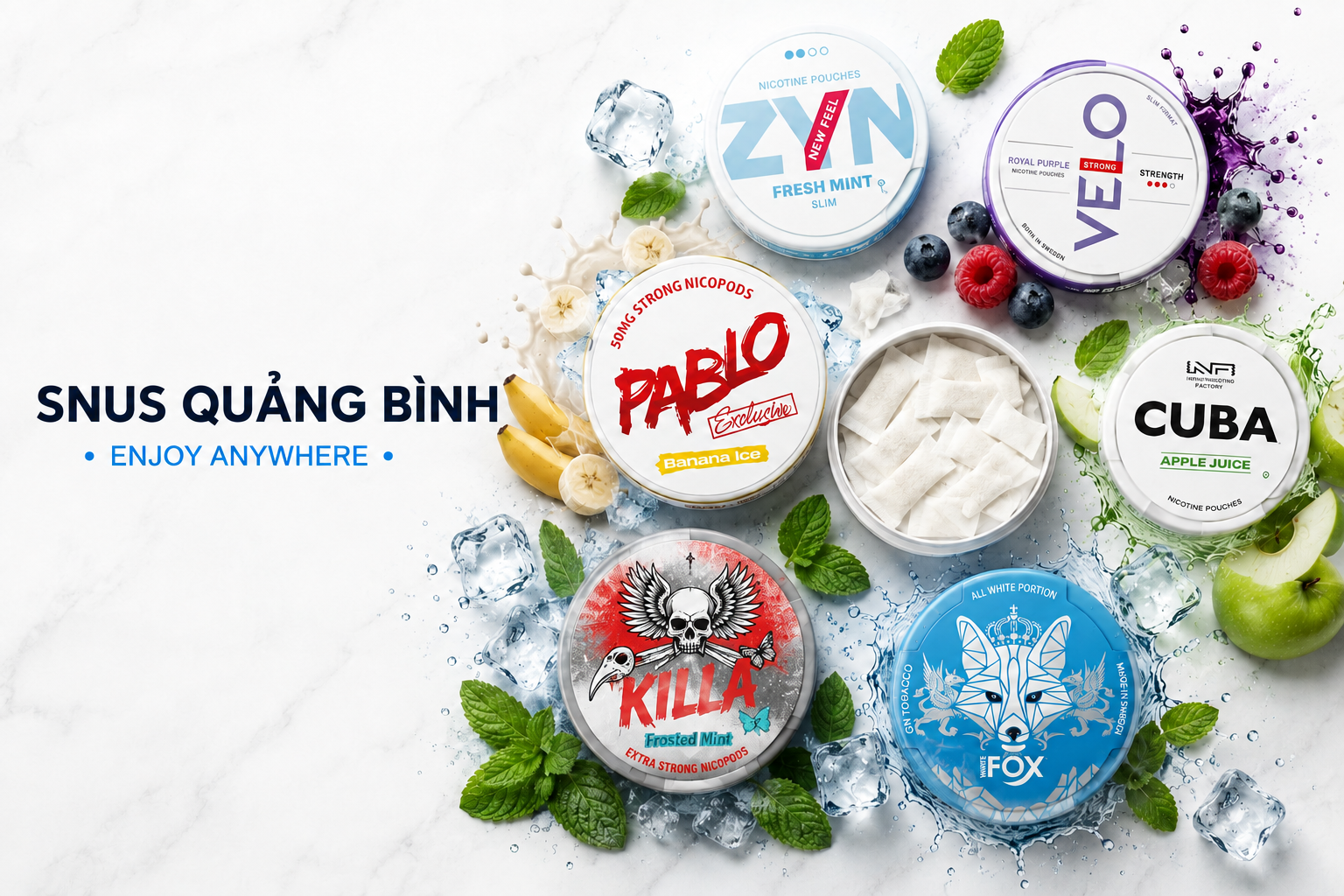 Home 1 banner snus quang binh